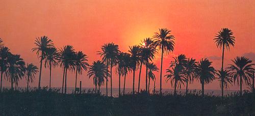 Guide maroc - Le Maroc - Marruecos - Morocco